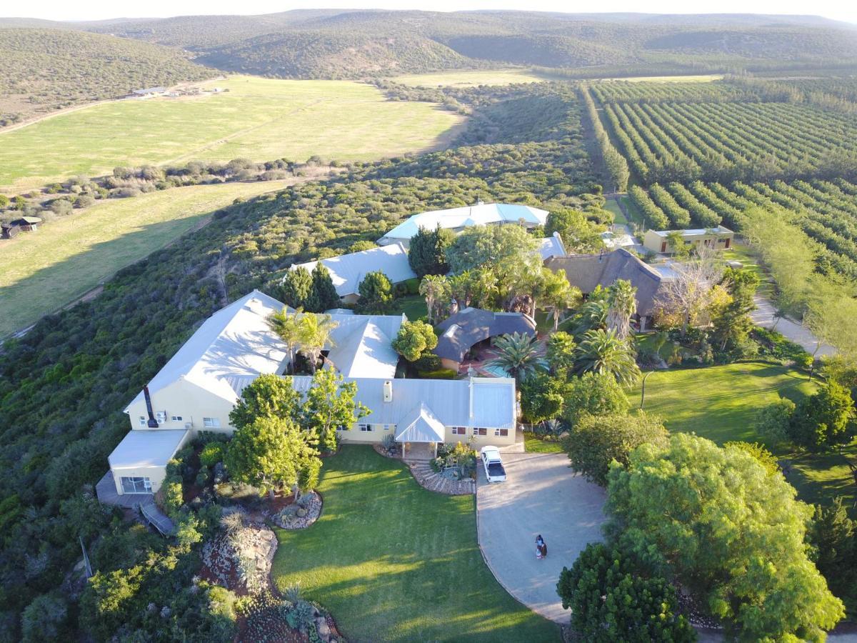 Kududu Guest House Addo Εξωτερικό φωτογραφία
